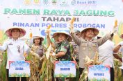 Dukung Ketahanan Pangan Nasional, Polres Grobogan Panen Raya Jagung