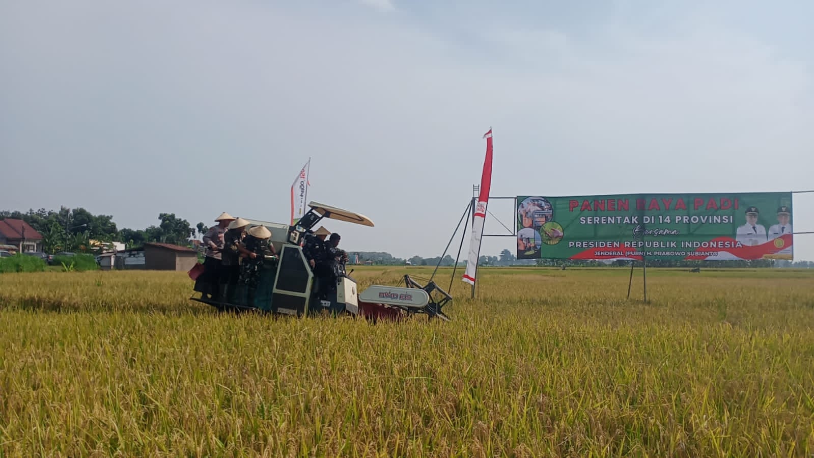 Panen Raya Serentak, Bulog: Pati Penyumbang Serapan Gabah Terbanyak Kedua Se-Jateng