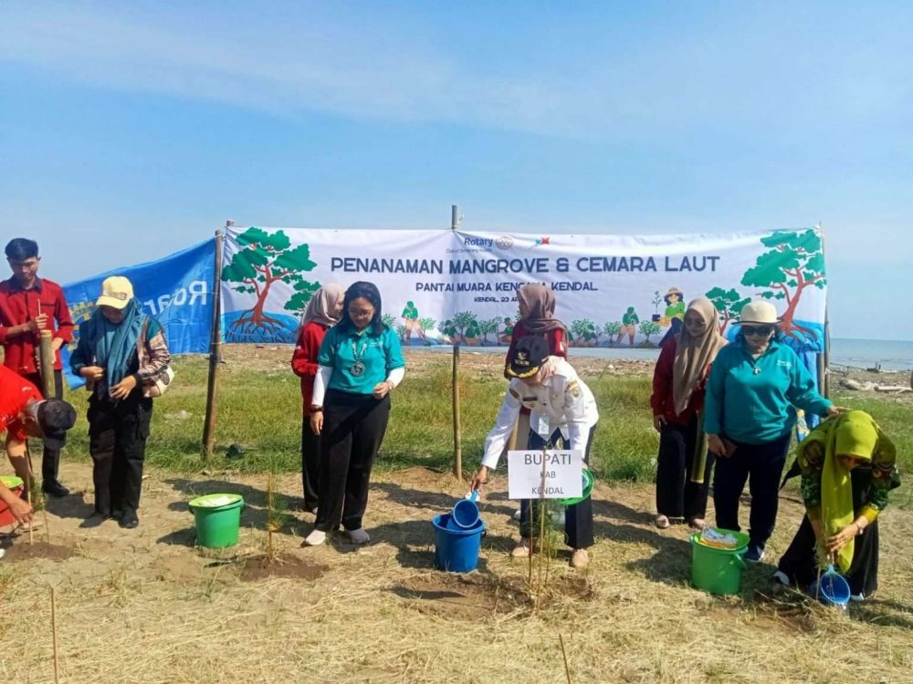 Lestarikan Lingkungan Hidup, Bupati Kendal Ikut Tanam Mangrove dan Cemara Laut