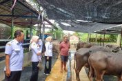 Pemprov Jateng Cek Kesehatan Hewan Kurban Jelang Iduladha 2025