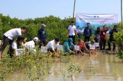 Hadang Banjir Rob Demak, Wagub Taj Yasin dan Warga Tanam 1000 Bibit Mangrove
