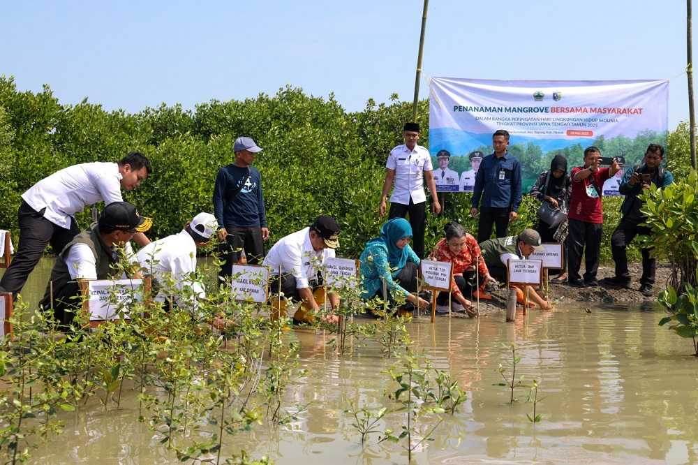 Hadang Banjir Rob Demak, Wagub Taj Yasin dan Warga Tanam 1000 Bibit Mangrove