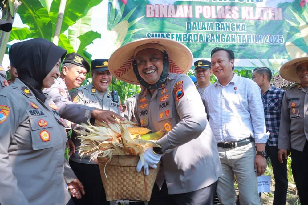 Dukung Swasembada Pangan Nasional, Polres Klaten Panen Jagung di Lahan Binaan