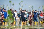 Ahmad Luthfi Kembali “Mageri Segoro”, Tanam 1,5 Juta Mangrove di Pesisir Jateng