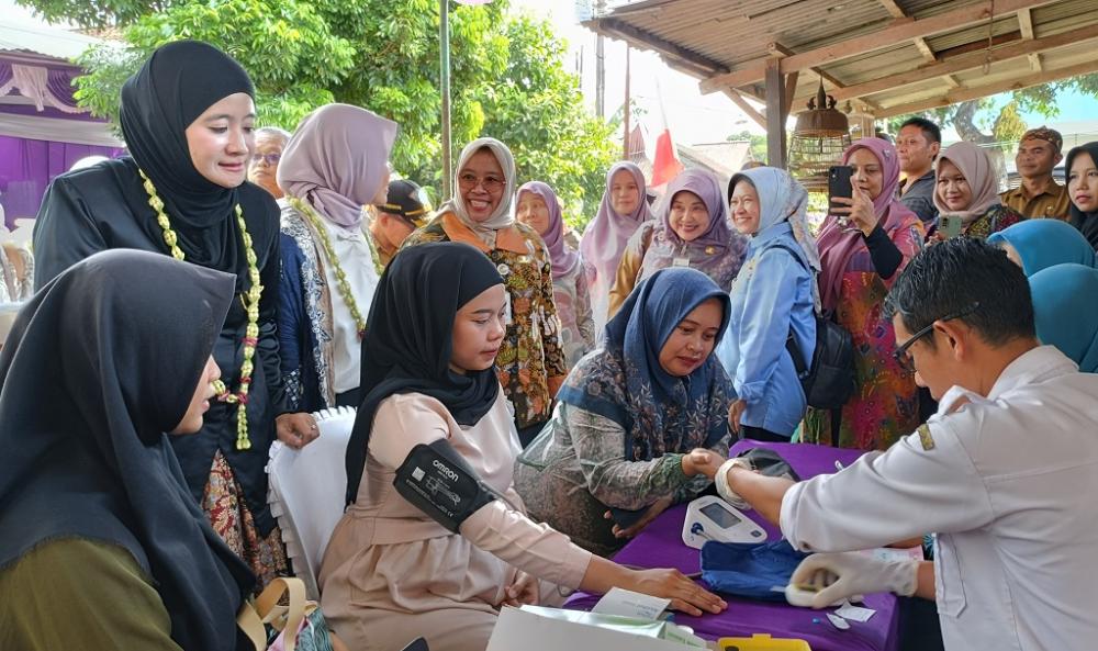 Posyandu Terapkan Enam Standar Pelayanan Minimal