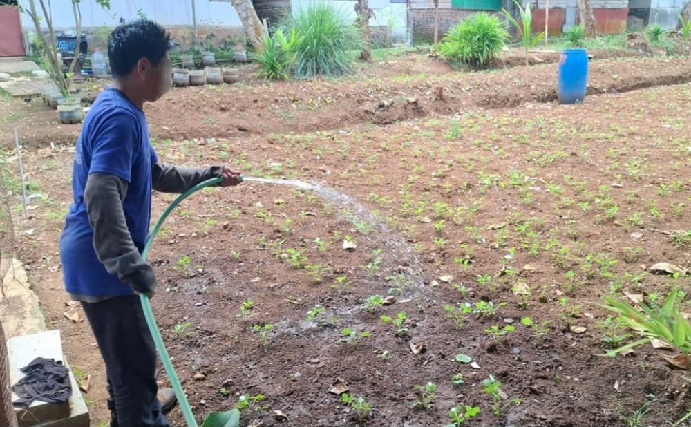 Warga Binaan Lapas Dibekali jadi Petani Milenial