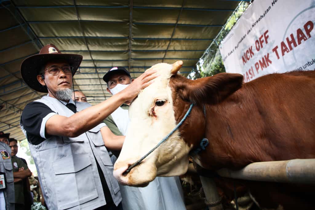 Produksi Daging di Jateng Tertinggi Kedua Nasional
