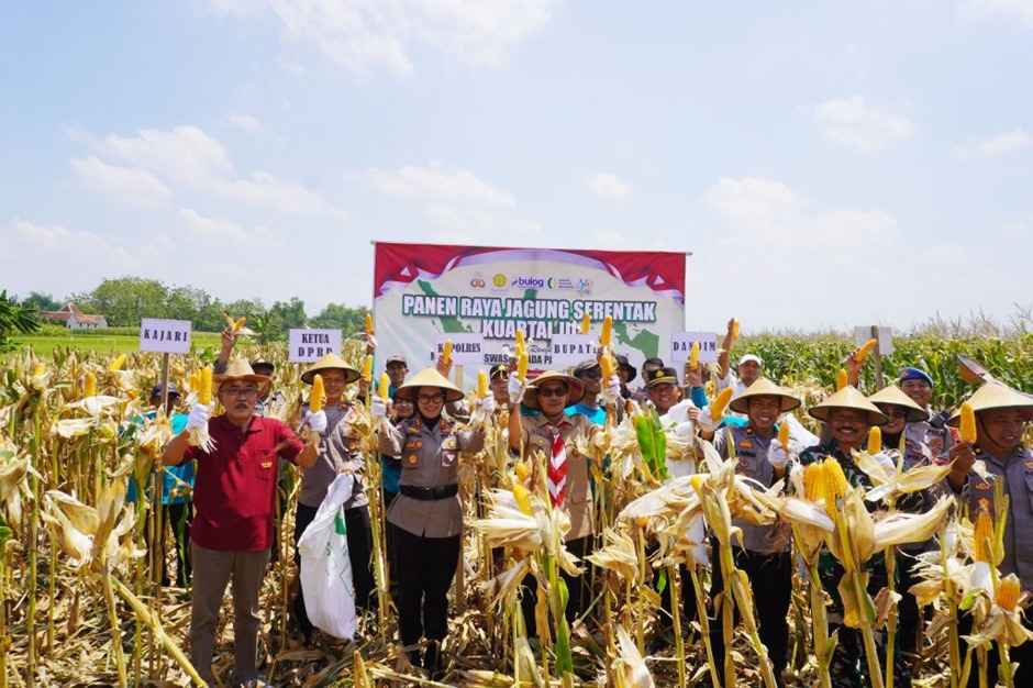 Ketersediaan Pangan di Sragen Capai 75%, Wabup Sragen Apresiasi Petani