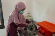 Ratusan Hewan di Kota Pekalongan Divaksin Rabies Gratis, Ini Syaratnya