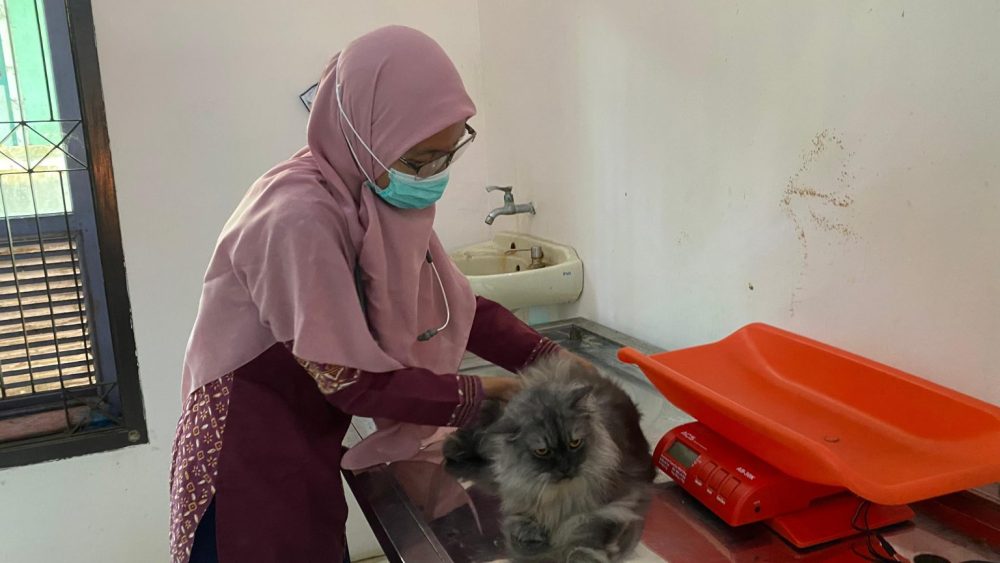 Ratusan Hewan di Kota Pekalongan Divaksin Rabies Gratis, Ini Syaratnya