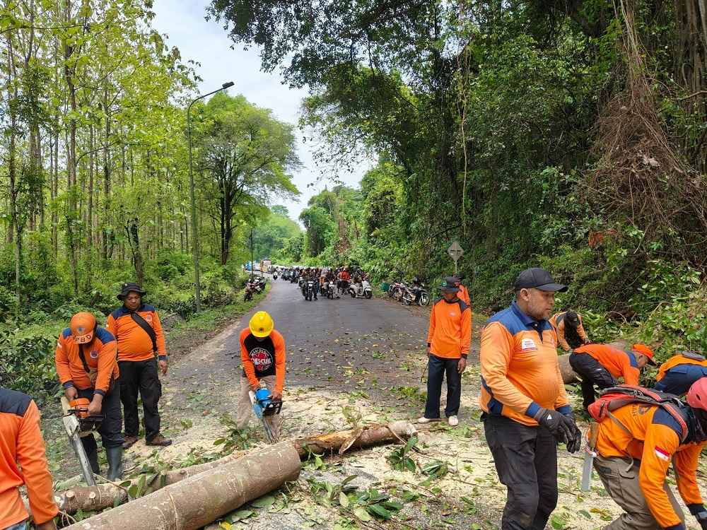 BPBD Wonogiri Gelar Kerja Bakti Skala Besar, Bersihkan Jalur Kritis Gunung Pegat