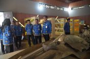 Museum Kartini Dibuka Gratis untuk Umum hingga 1 Januari 2026
