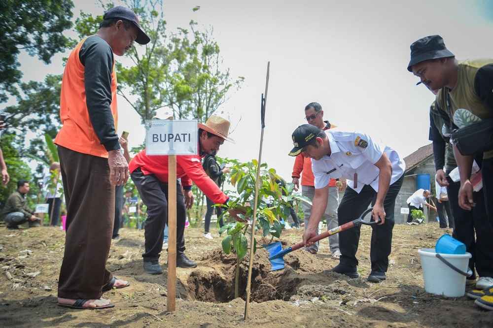 Pemkab Boyolali Lakukan Penanaman Pohon Serentak