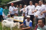 110 Ekor Kambing Asal Afsel Diserahkan ke Batealit, Diplot Jadi Sentra Peternakan Boer