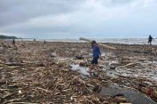 Viral Temuan Kayu di Pantai Larangan, Ini Kata Perhutani
