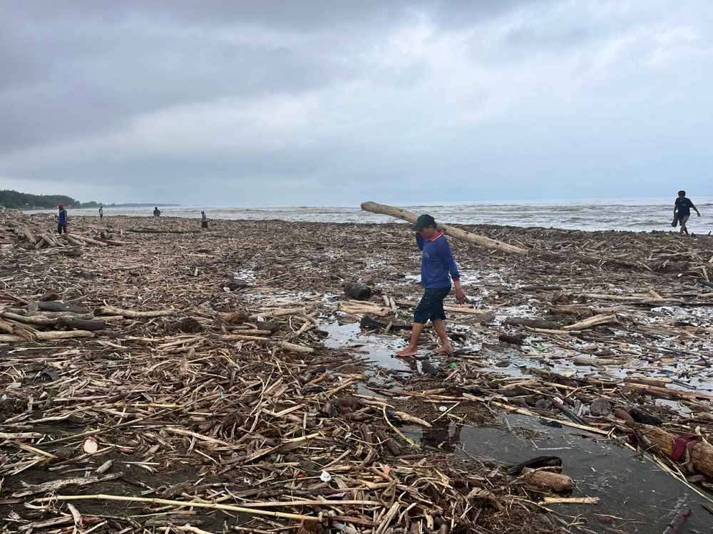 Viral Temuan Kayu di Pantai Larangan, Ini Kata Perhutani
